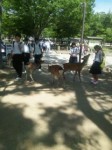 20140528_143128