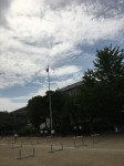 IMG_1317 (640x480)