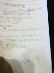 IMG_1437 (480x640)