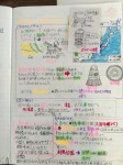 IMG_1511 (480x640)