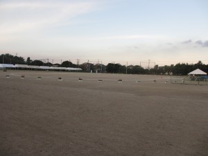 IMG_6705
