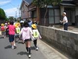 IMG_1796 IMG_1796