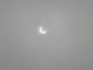 IMG_1655 IMG_1655
