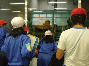 DSCF8181 DSCF8181