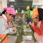 DSCN6737 DSCN6737