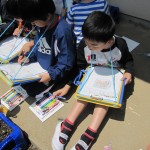IMG_3689 IMG_3689