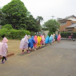 IMG_3795 IMG_3795