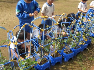 IMG_2908 IMG_2908