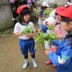 IMG_3987 IMG_3987