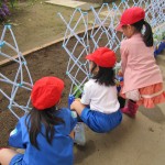 IMG_3995 IMG_3995