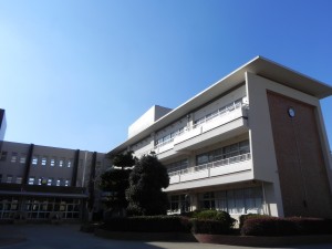 DSCN6236 DSCN6236