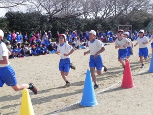 DSCN8986 DSCN8986