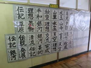 IMG_0467 IMG_0467
