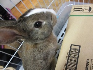 IMG_1341 IMG_1341