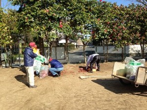 IMG_0289 IMG_0289