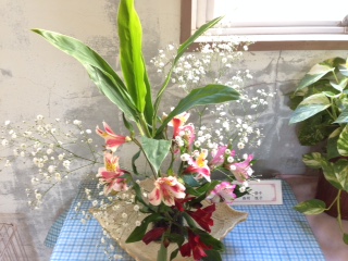 image1.JPG
