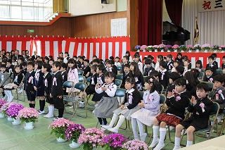 IMG_1893 IMG_1893