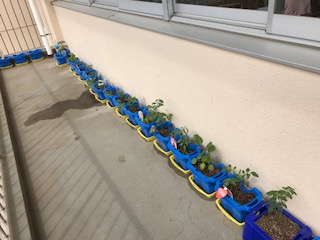 image1.JPG