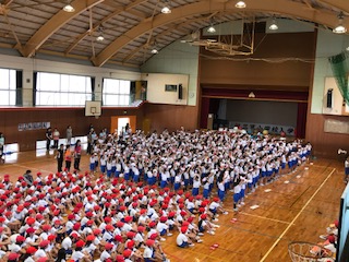 image1.JPG