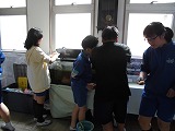 CIMG4220 CIMG4220