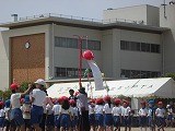 CIMG4462 CIMG4462