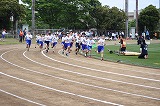 DSC_0077 DSC_0077