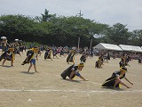 CIMG2149 CIMG2149