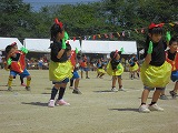CIMG2334 CIMG2334