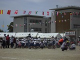 CIMG4375 CIMG4375