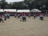 CIMG4442 CIMG4442