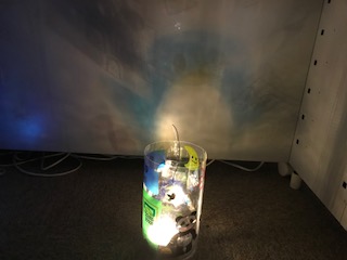 image1.jpeg