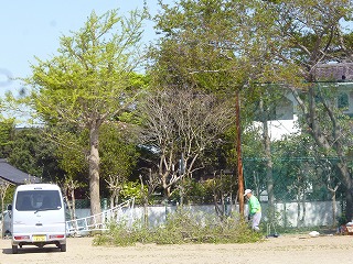 P1050943 P1050943