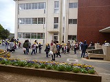 P1050984 P1050984