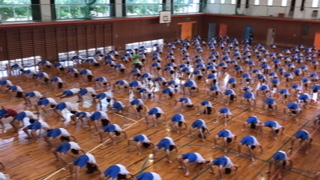 image1.jpeg