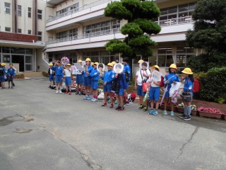CIMG3382 CIMG3382