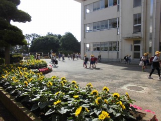 CIMG3436 CIMG3436