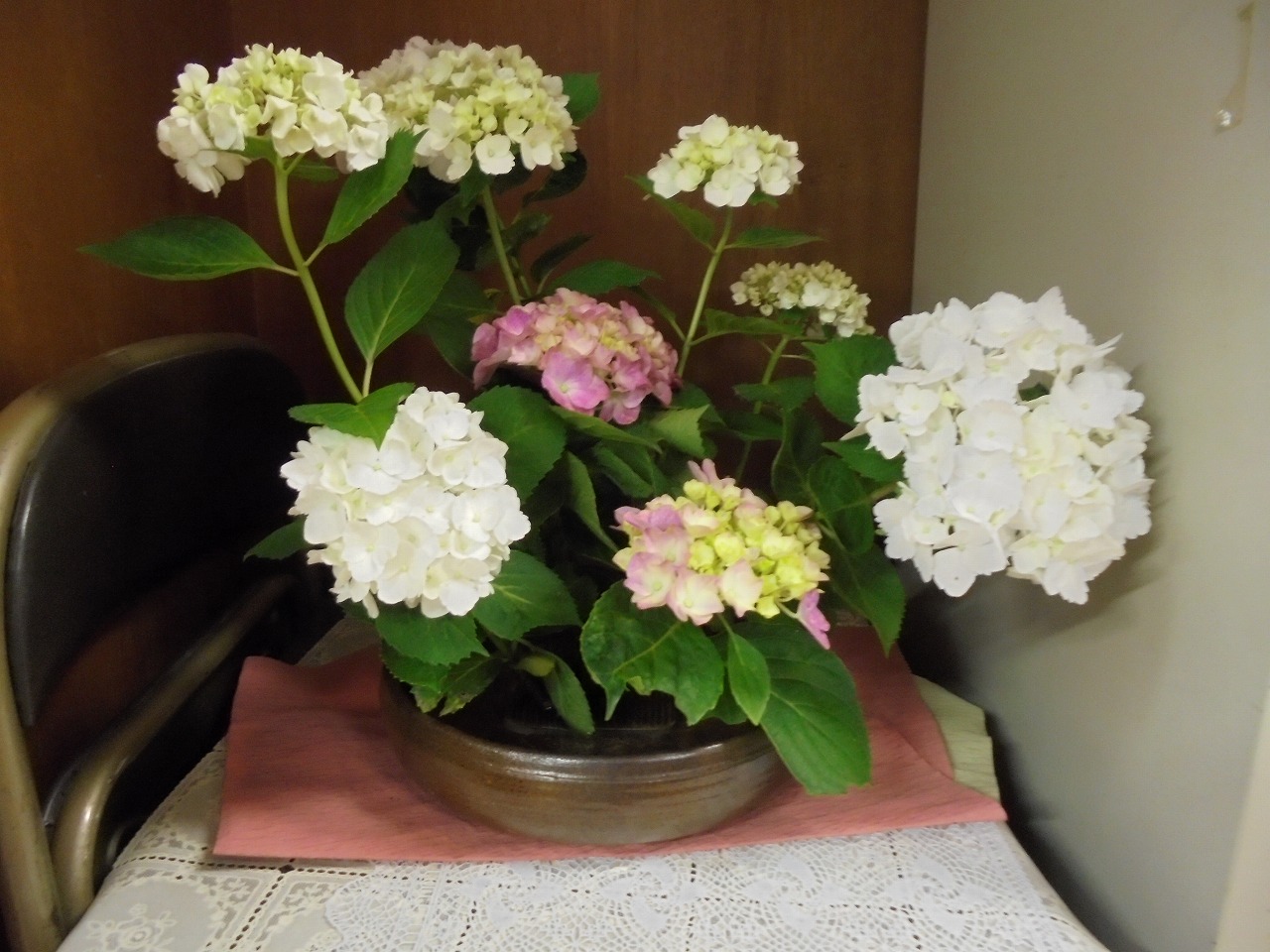 DSC00042 DSC00042