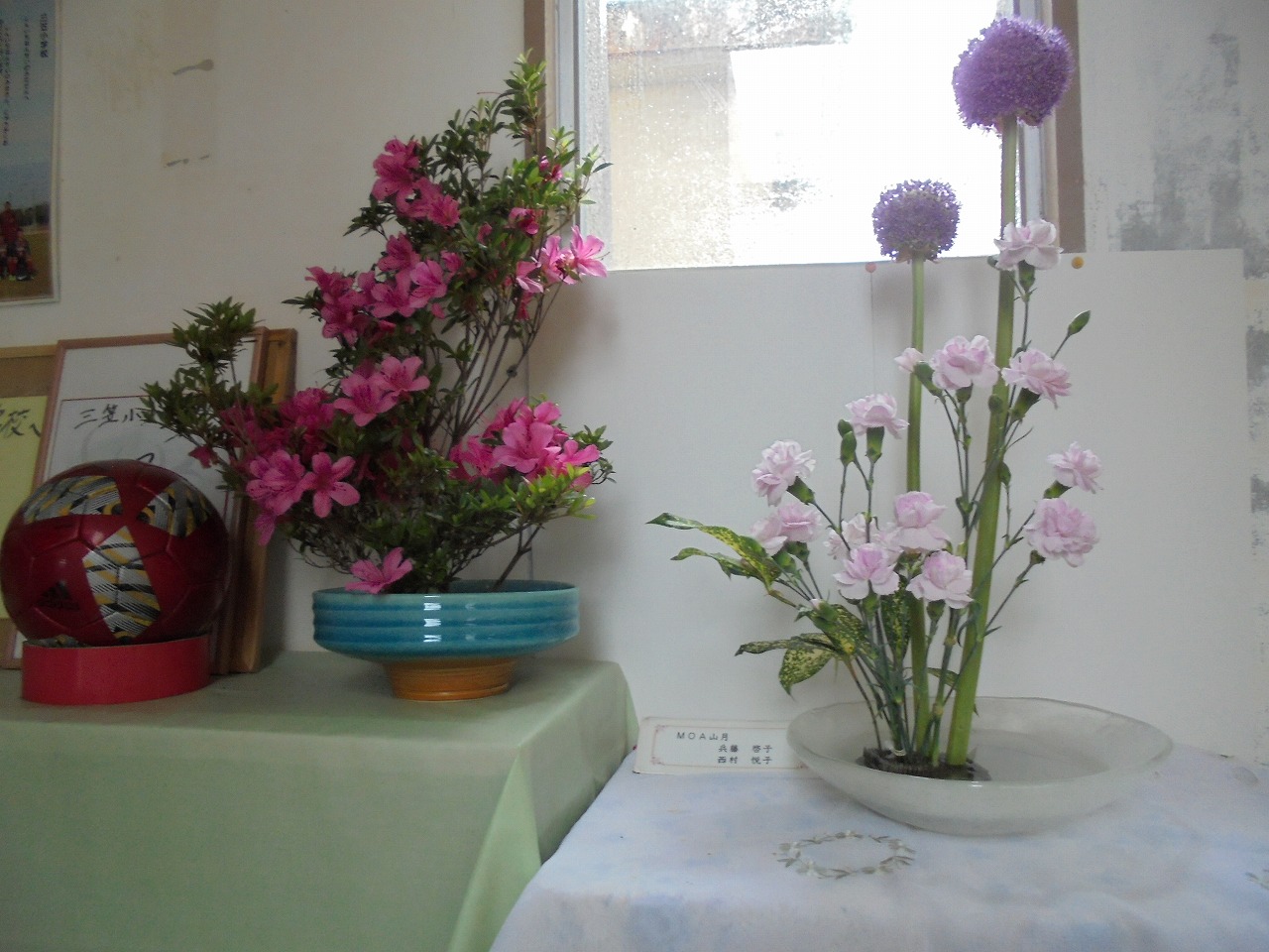 DSC00043 DSC00043