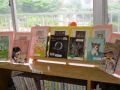 IMG_0096 IMG_0096