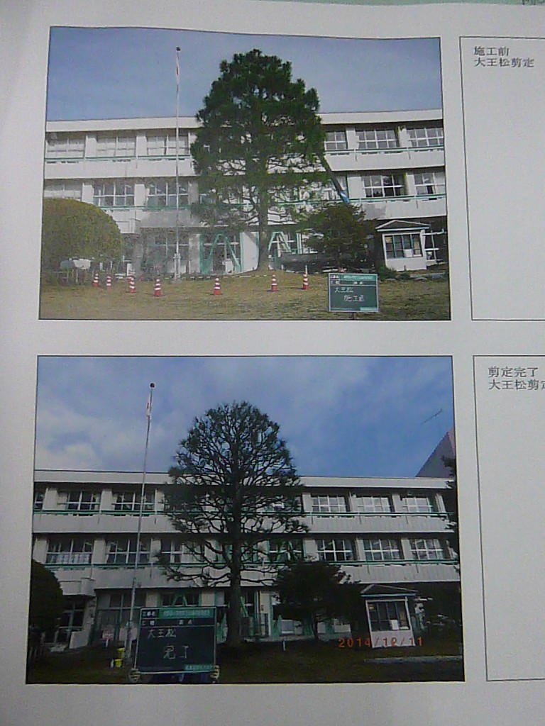 P1250261