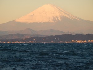 DSCN1567