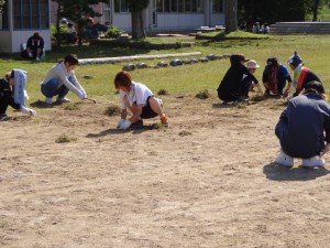 DSC01940