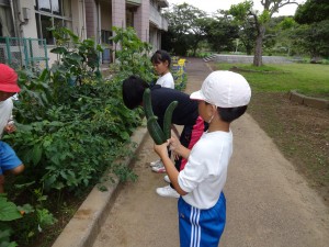 DSC02289