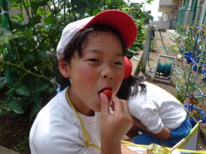 DSC05430