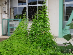 DSC03361
