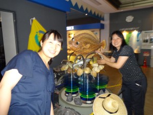 DSC03581