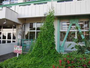 DSC03592