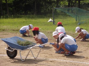 DSC03931