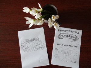 DSC04654