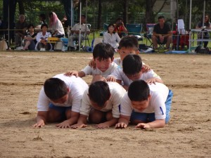 DSC04950